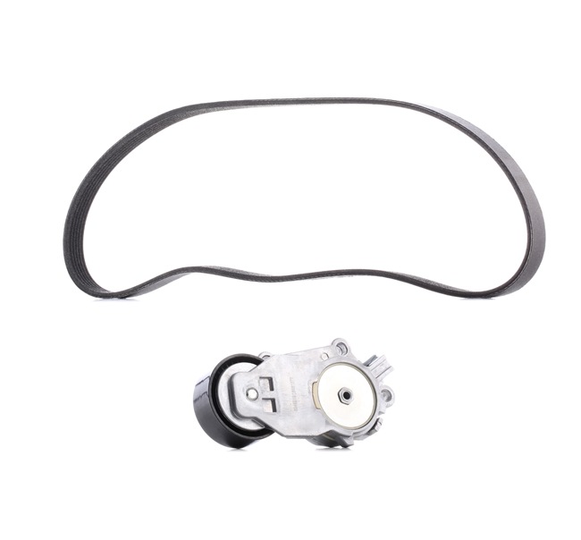 Iegādājieties lēti oriģinālo Ķīļrievu siksnu komplekts 542R0005P comparable with 252122E830 OEM numbers online