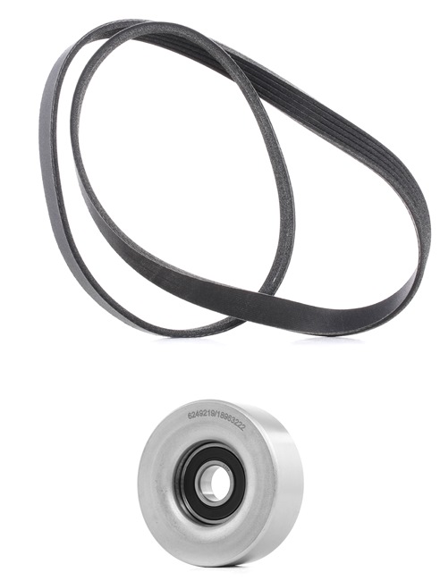 Kupte si levné originální Sada zebrovanych klinovych remenu 542R0023P porovnatelné s 117203694R OEM čísly online