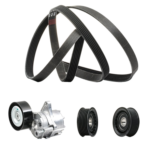OEM Poly V-riem set MERCEDES-BENZ 211 CDI 2.2 (906.111, 906.113, 906.211) 109 PK Diesel van RIDEX PLUS online aan geweldige prijzen