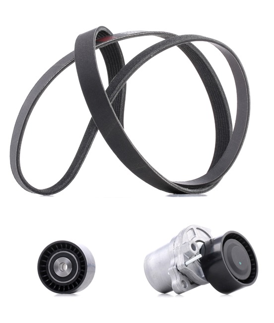 Kupte si levné originální Sada zebrovanych klinovych remenu 542R0196P porovnatelné s 1175000Q2E OEM čísly online