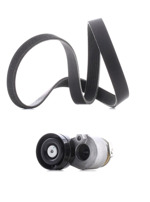 OEM Poly V-riem set RENAULT 2.0 TCe 220 220 PK Benzine 117202122R van RIDEX PLUS online aan geweldige prijzen