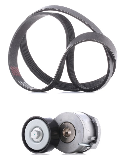 OEM Kit Cinghie Poly-V FORD 2.0 TDCi 140 CV Diesel 1611278380 da RIDEX PLUS online ad un ottimo prezzo