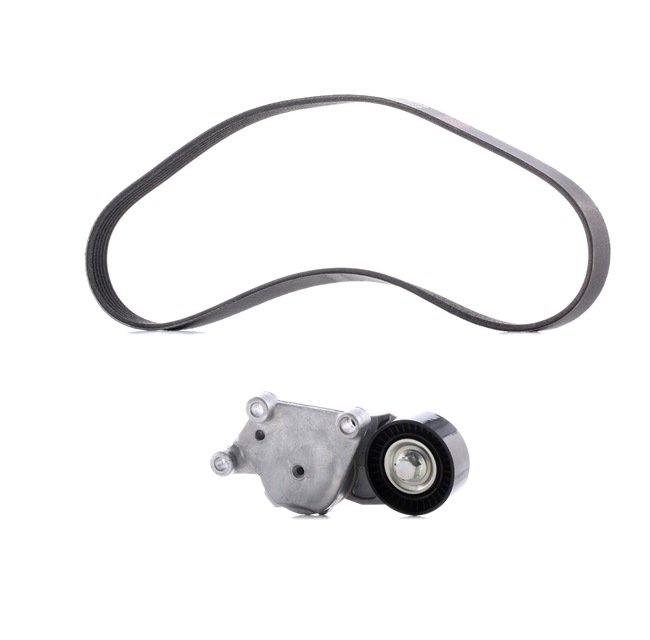 Buy cheap original V-Ribbed Belt Set 542R0114P comparable with AV6Q6C301AA OEM numbers online