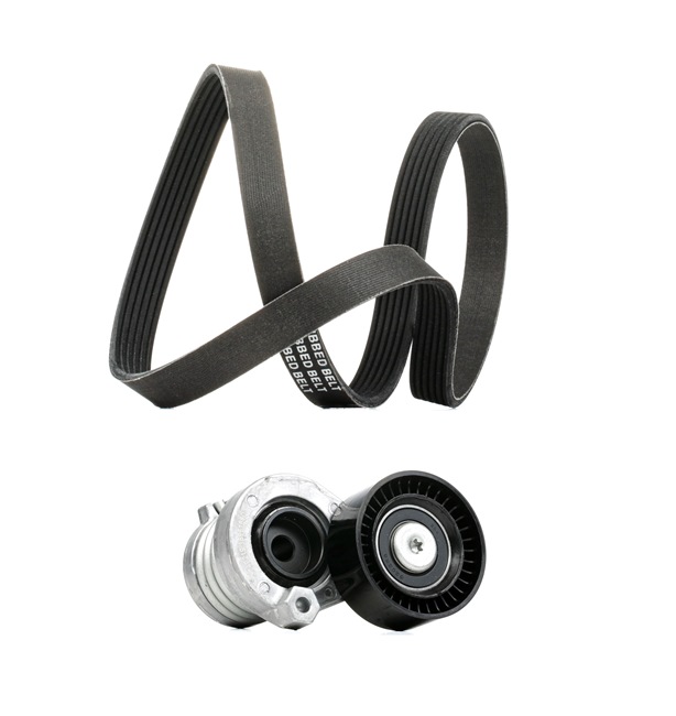 OE Poly v riem set RENAULT EXPRESS 2016 117202495R, 117206096R, A6079930296 van RIDEX PLUS