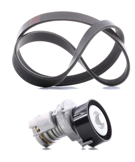 OEM Σετ ιμάντων poly-V VW 1.4 16V 75 PS Βενζίνη 030145299C από την RIDEX PLUS ηλεκτρονικά σε χαμηλές τιμές