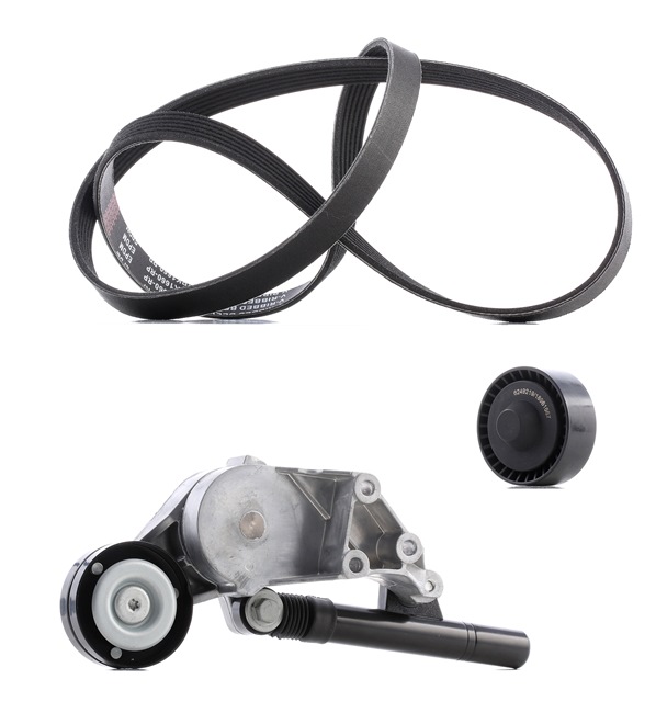 Koop online goedkoop originele Poly V-riem set 542R0040P vergelijkbaar met 11281247986 OEM-nummers