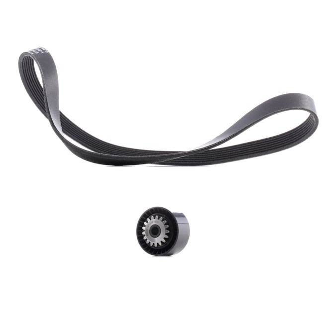 Compre online originais a baixo custo Jogo de correias trapezoidais estriadas 542R0017P comparáveis com os números OEM 7701478934