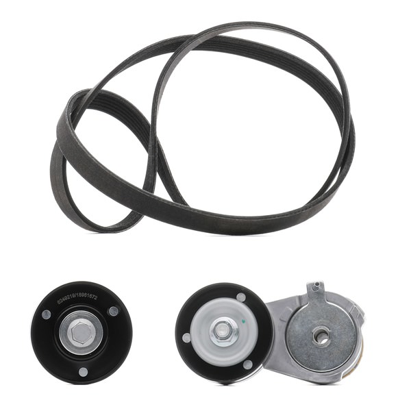 OEM Poly V-riem set VW 1.6 FSI 110 PK Benzine van RIDEX PLUS online aan verbazingwekkende prijzen