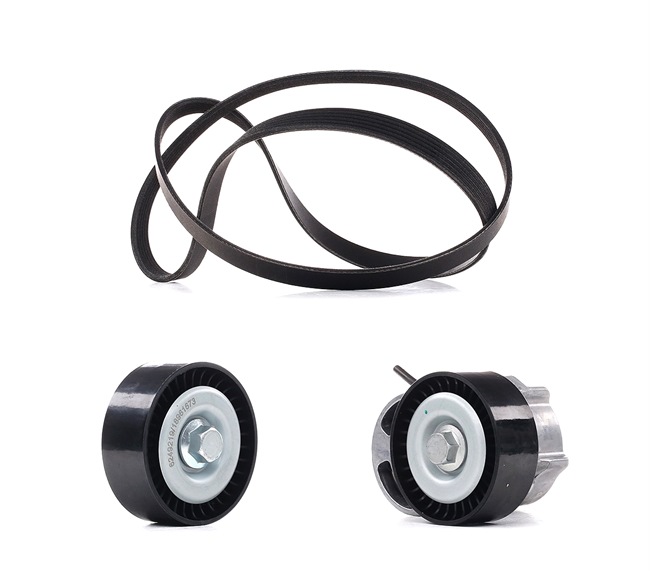 Compre Juego de correas trapeciales poli V 542R0110P original asequible comparable con números OEM online 0139974792