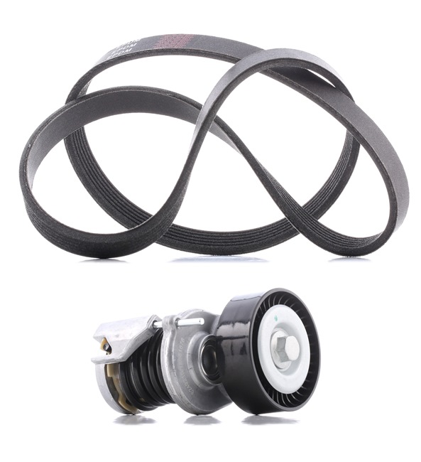 Køb billige originale Kileremssæt 542R0041P tilsvarende med 038903315AG OEM numre online