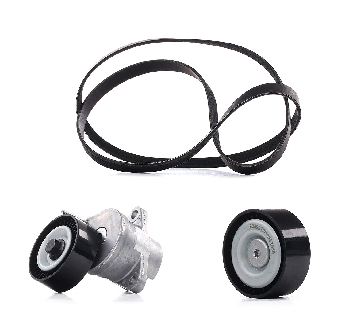 Köp RIDEX PLUS Drivremssats Produktnummer: 542R0076P till det förmånliga priset av 1010,49 kr