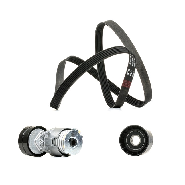 OEM Poly V-riem set RENAULT 1.9 dCi 125 PK Diesel 1172000Q1M van RIDEX PLUS online aan geweldige prijzen