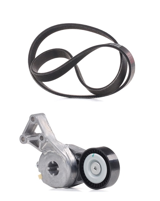 OEM Set curea transmisie cu caneluri SKODA 1.6 LPG 102 CP Benzina/Autogaz (GPL) 06A903315D de la RIDEX PLUS online la un preț incredibil