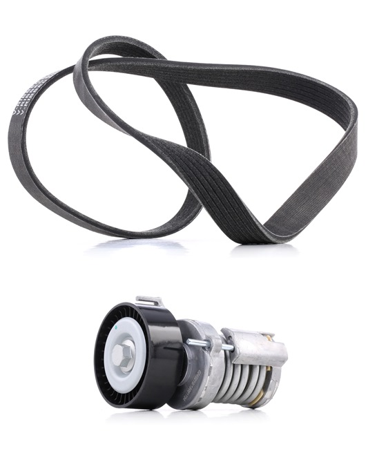 Compre Juego de correas trapeciales poli V 542R0036P original asequible comparable con números OEM online 030145933E