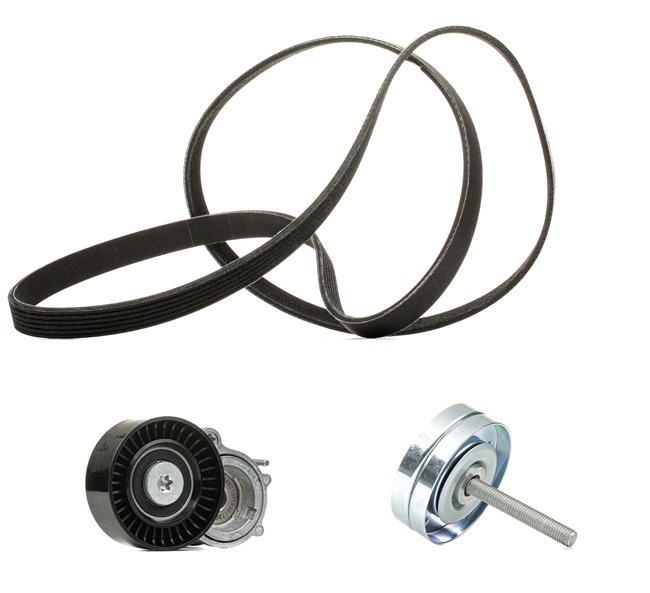 Compre Juego de correas trapeciales poli V 542R0225P original asequible comparable con números OEM online 03E260849A