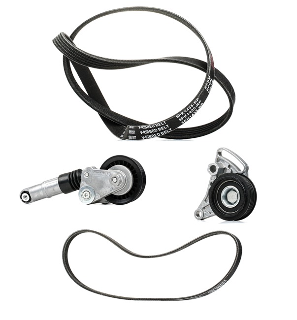 Kupte si levné originální Sada zebrovanych klinovych remenu 542R0083P porovnatelné s 058260849A OEM čísly online