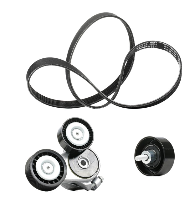 OEM Kit Cinghie Poly-V FORD 1.8 TDCi 115 CV Diesel 047903137G da RIDEX PLUS online ad un ottimo prezzo