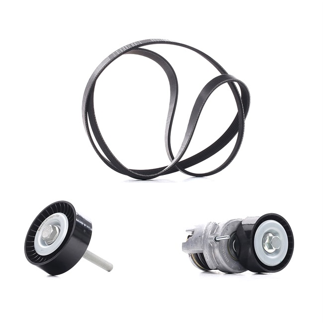 OEM Set curea transmisie cu caneluri SKODA 1.6 FSI 115 CP benzina 03C145299C de la RIDEX PLUS online la un preț incredibil