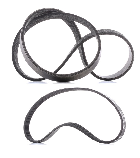Ford Fiesta Mk4 1996 Auxiliary belt kit RIDEX PLUS OEM 1148907, 1253583, 1365336