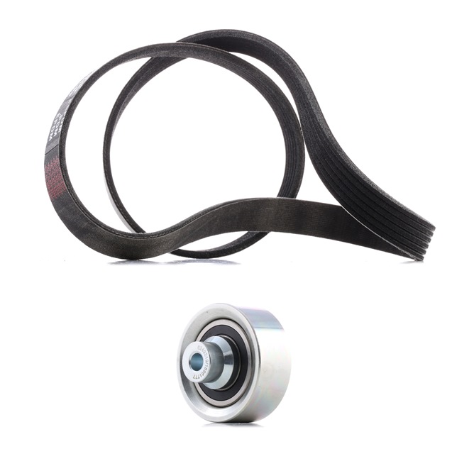 Köp billiga original Drivremssats 542R0003P jämförbara med 1613844580 OEM nummer på nätet