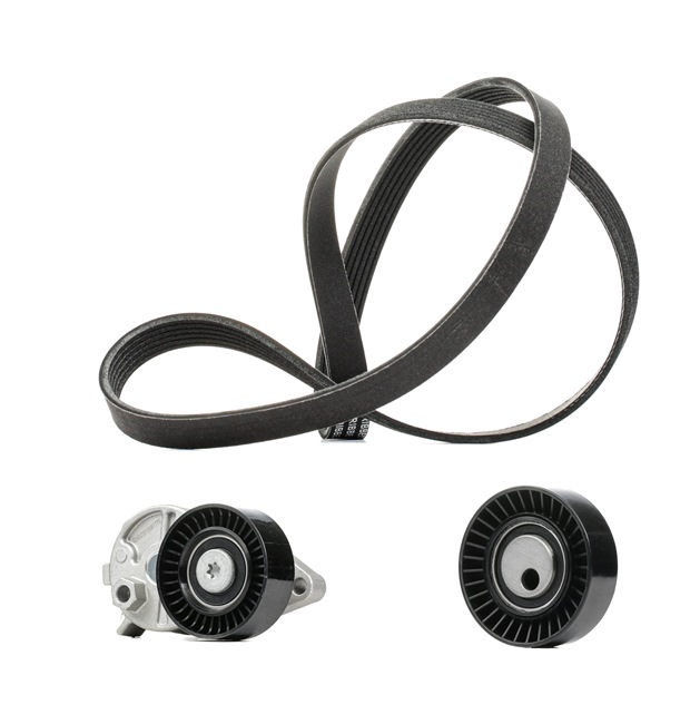 Buy cheap original V-Ribbed Belt Set 542R0388P comparable with BM5Q6C301AB OEM numbers online