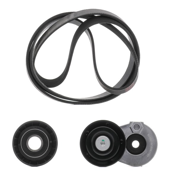OEM Poly V-riem set RENAULT 1.9 dCi 125 PK Diesel 117200051R van RIDEX PLUS online aan geweldige prijzen