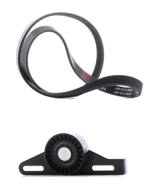 Kupte si levné originální Sada zebrovanych klinovych remenu 542R0138P porovnatelné s 1192000QAB OEM čísly online