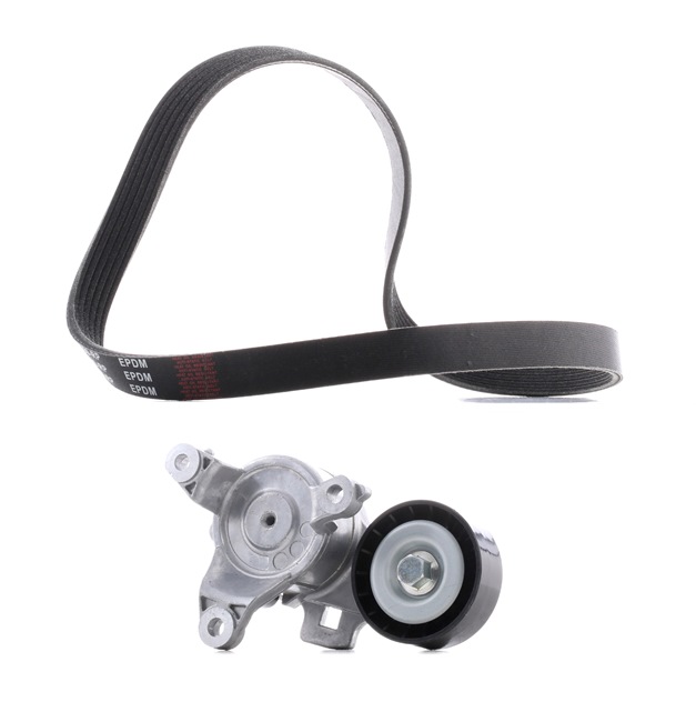 OEM Set curea transmisie cu caneluri CITROËN 2.0 I (X_RFH) 140 CP benzina 16112792 de la RIDEX PLUS online la un preț incredibil