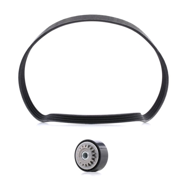 Iegādājieties lēti oriģinālo Ķīļrievu siksnu komplekts 542R0497P comparable with 7700868201 OEM numbers online
