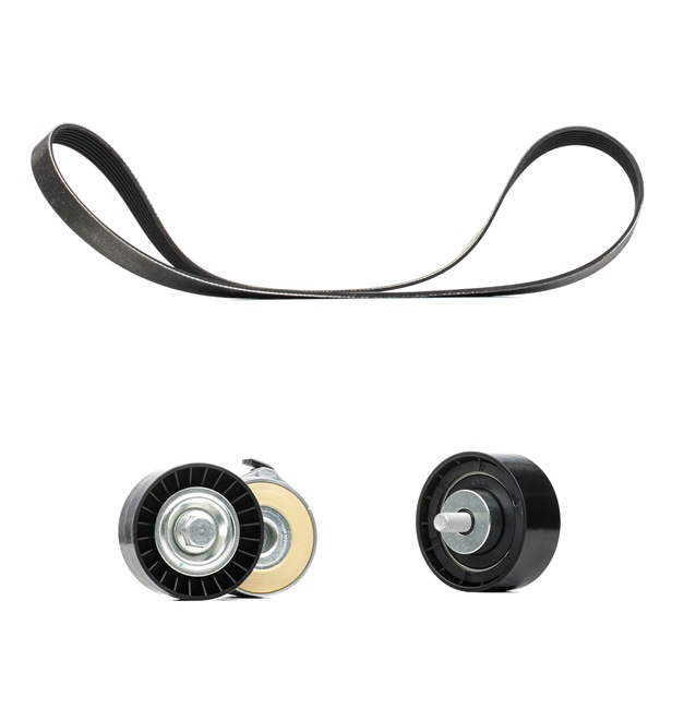 OEM Poly V-riem set IVECO 2.3 40 C 12 116 PK Diesel van RIDEX PLUS online aan verbazingwekkende prijzen