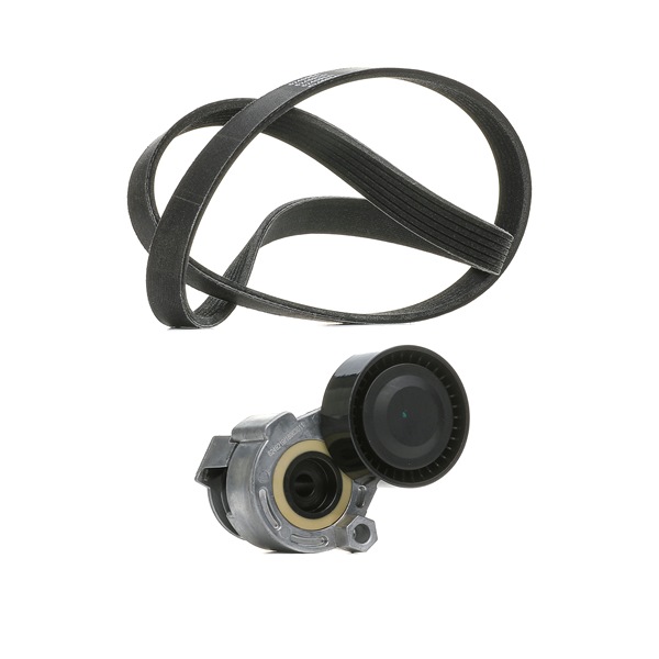 Kupte si levné originální Sada zebrovanych klinovych remenu 542R0170P porovnatelné s 1175000Q1H OEM čísly online