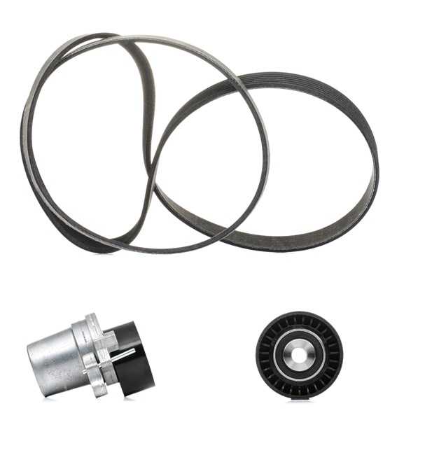 Kupte si levné originální Sada zebrovanych klinovych remenu 542R0315P porovnatelné s 1175000Q2E OEM čísly online