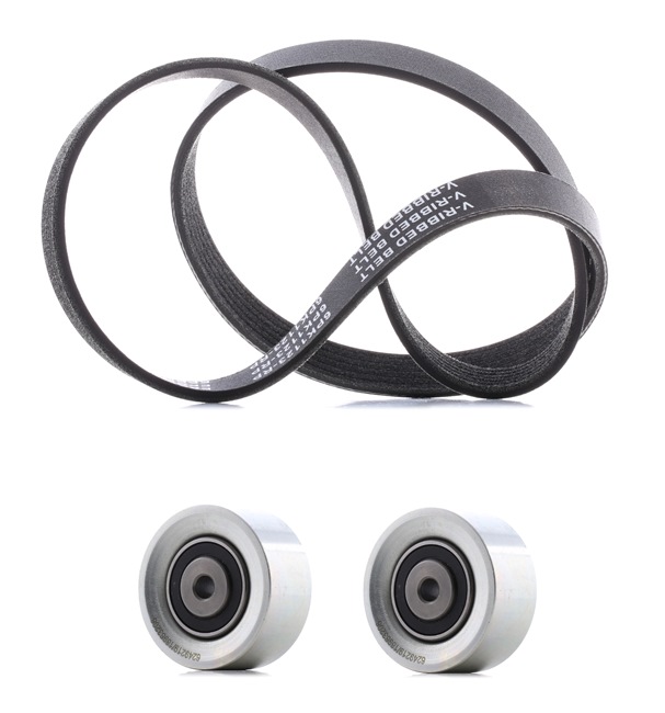 RIDEX PLUS 542R0465P jeu de courroies trapézoïdales à nervures CITROËN C2 3/5 portes JM 1.4 73 CH Essence