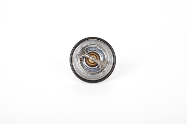 Koop online goedkoop originele Thermostaat, koelvloeistof 28.0200-4173.2 vergelijkbaar met 1102000111 OEM-nummers