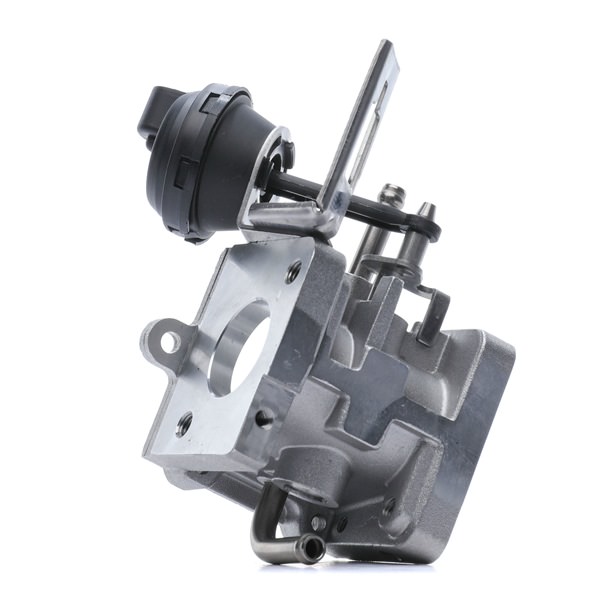 OEM EGR module AUDI 1.8 T quattro 173 PK Benzine 059131063D van RIDEX online aan geweldige prijzen