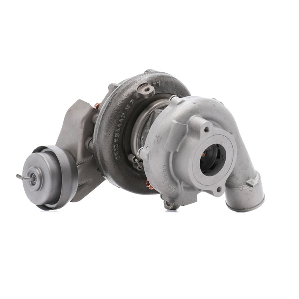Kupite poceni originalno Turbopolnilnik 2234C10555R, primerljivo z 1720126032 OEM številke, prek spleta