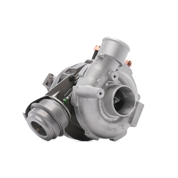 Compre Turbocompresor 2234C10171R original asequible comparable con números OEM online R1630020