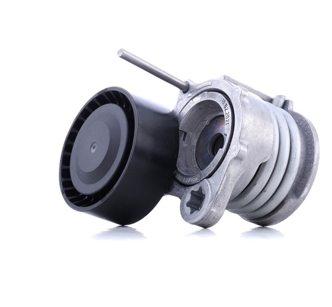 OEM Polea tensora, correa poli V BMW 120 d 156 CV Gasóleo 11287790447 de SNR online a precios inmejorables