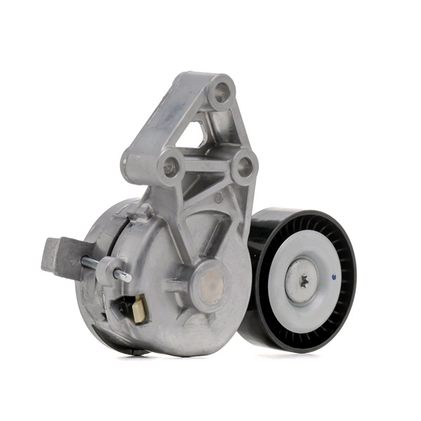 OEM Τεντωτήρας, ιμάντας poly-V VW 1.9 TDI 4motion 130 PS Πετρέλαιο 038903315AE από την SNR ηλεκτρονικά σε χαμηλές τιμές