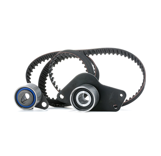 OEM Distributieriem set RENAULT 1.9 D (B/C/S576, B/C/S57L) 64 PK Diesel 1680600QAP van SNR online aan geweldige prijzen