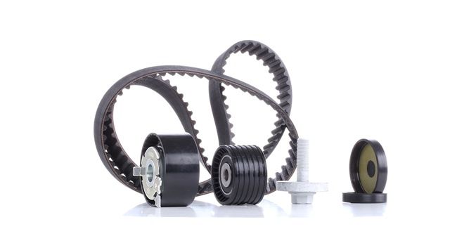 OEM Distributieriem set RENAULT 1.6 16V 110 PK Benzine 1307000QAA van SNR online aan geweldige prijzen