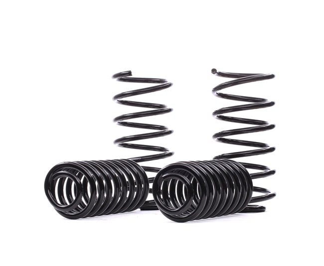 OEM Set arcuri Seat Leon 1M 2002 8120140, 10810030222, 20810030122 EIBACH