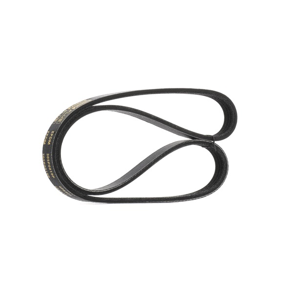 Iegādājieties lēti oriģinālo Ķīļrievu siksna 305P0019P comparable with 4918063B10 OEM numbers online