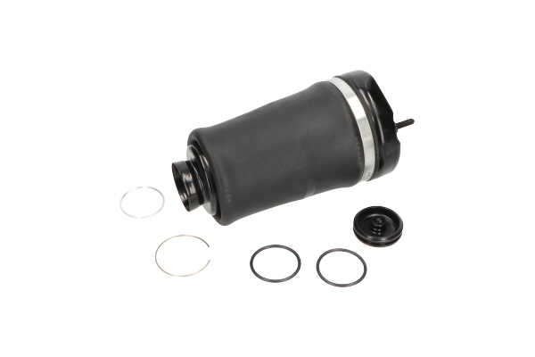 Iegādājieties lēti oriģinālo Pneimo spilvens SAS-10004 comparable with 1643204613 OEM numbers online