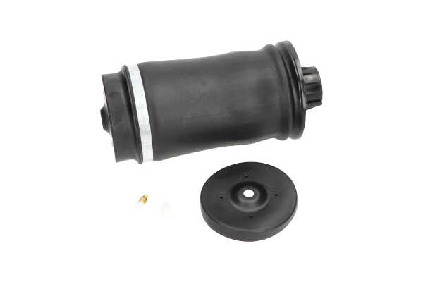 Acquista online Molla pneumatica SAS-10006 originale a buon mercato, comparabile con i numeri OEM A1663200325