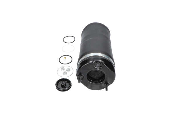 Įsigykite nebrangią originalią Oro pagalvės SAS-10031. sulyginama su A251320561380 OEM numeriais internetu