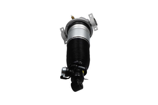 OEM Ammortizzatore pneumatico AUDI 3.0 TDI quattro 204 CV Diesel 7L6616020A da KAVO PARTS online ad un ottimo prezzo