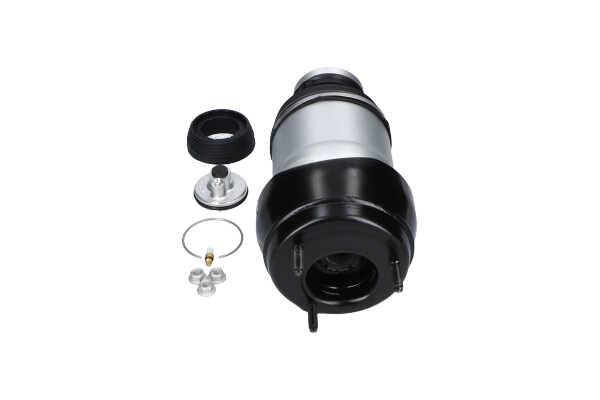 Cumpărați online Pernă de aer SAS-10049 original/ă și la un preț mic, compatibil/ă cu nr. OEM A1663230400