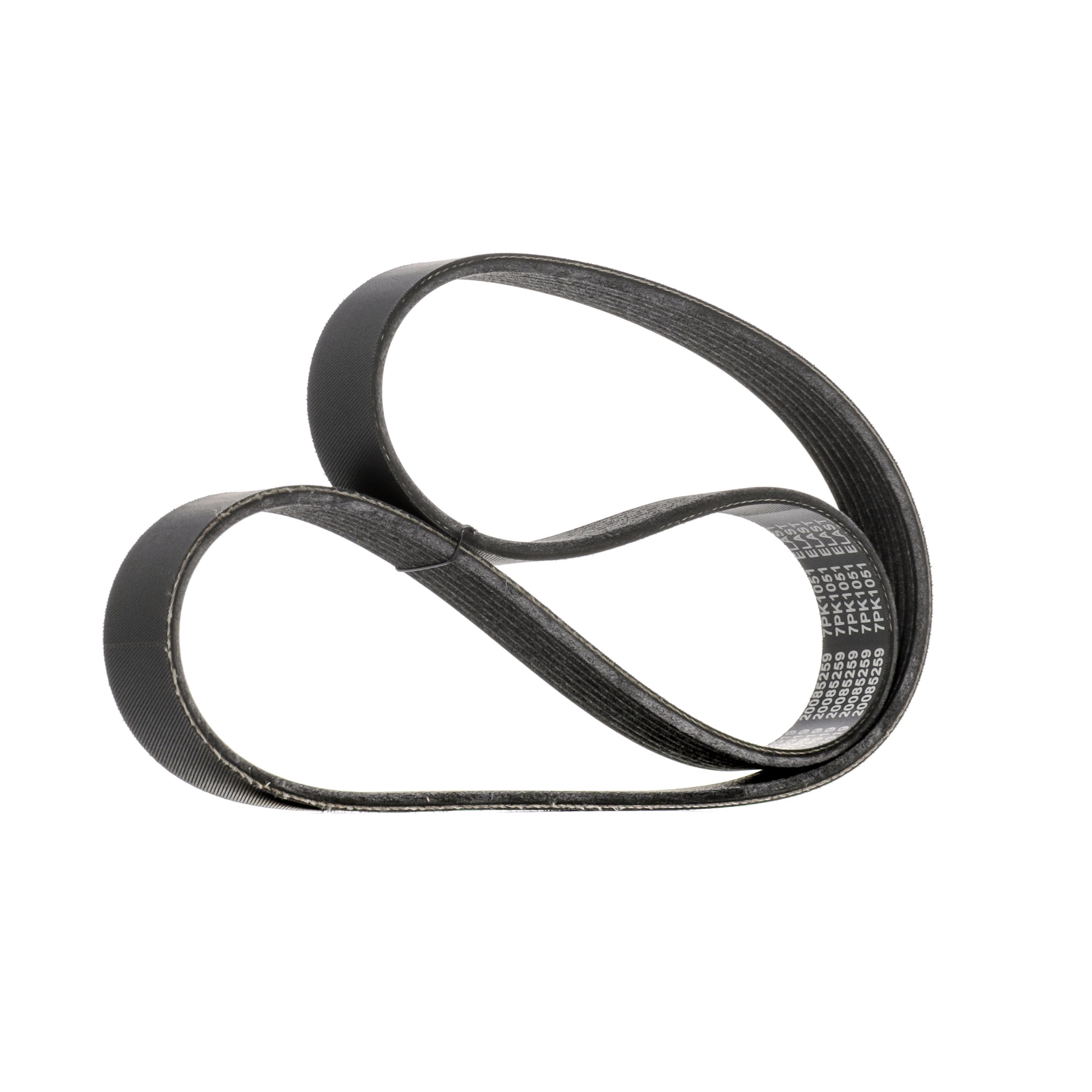 Koop RIDEX Multiriem Productnr.: 305P0655 aan de laagste prijs van 23,05 €
