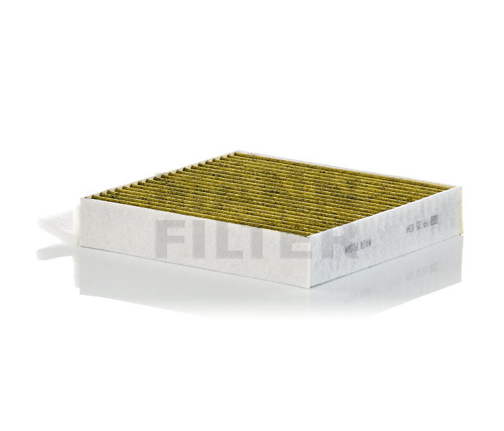 Compre online originais a baixo custo Filtro, ar do habitáculo FP 25 034-2 comparáveis com os números OEM 2238351400